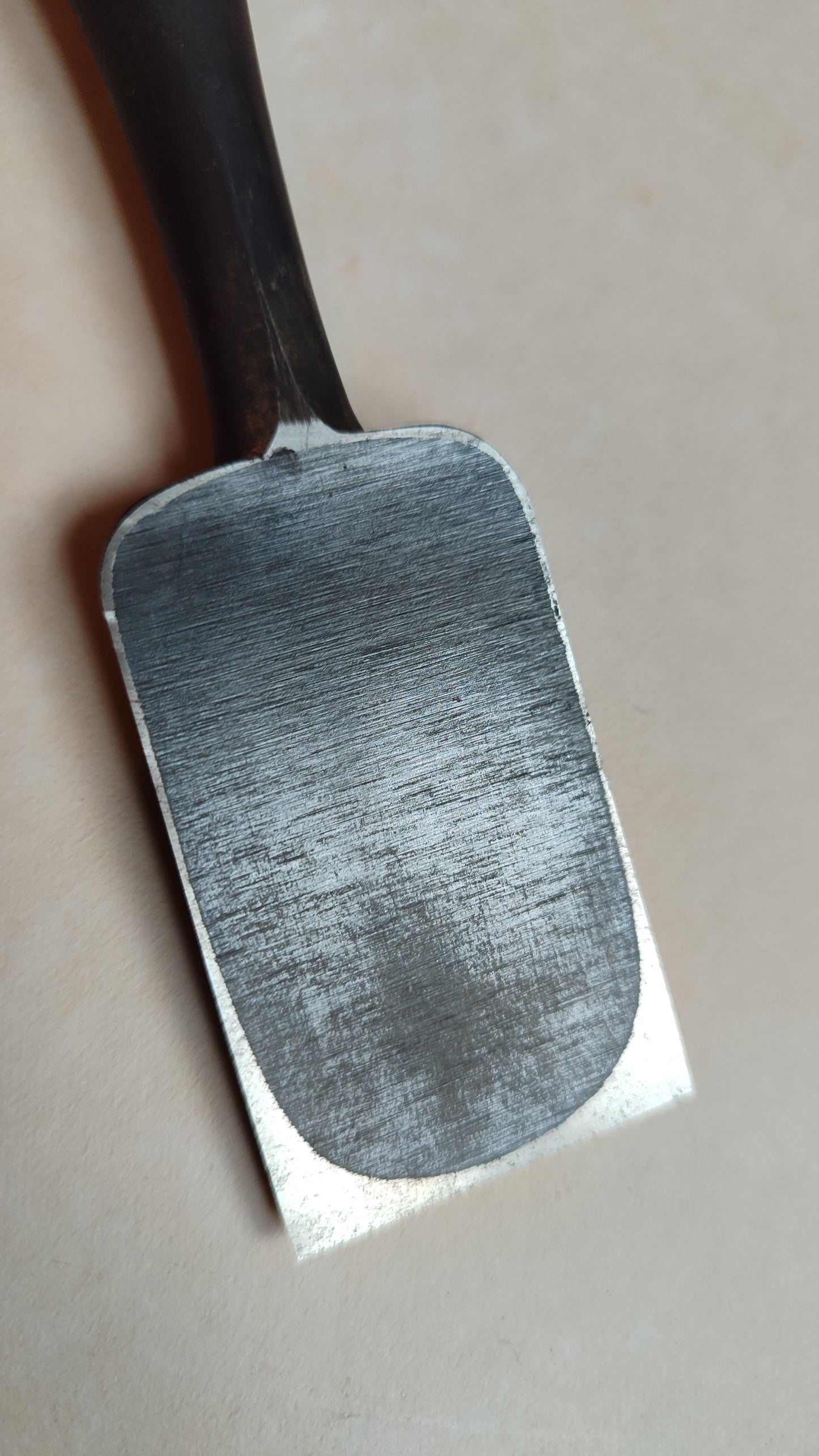 Cincel Japonés Premium "Oire Nomi" 24mm "Ouchi San"
