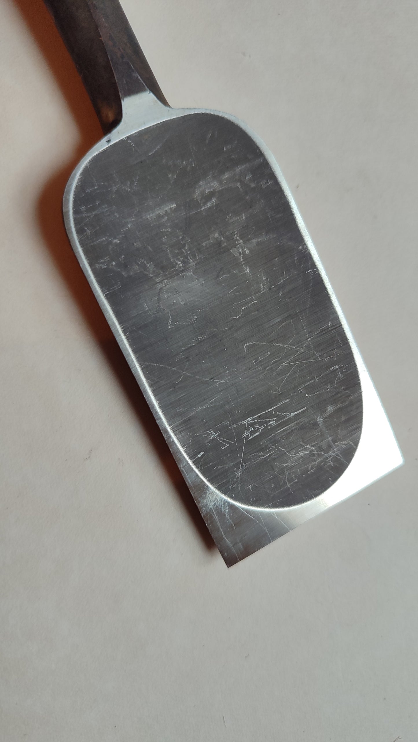 Cincel Japonés Premium "Oire Nomi" 24mm "Ouchi San"