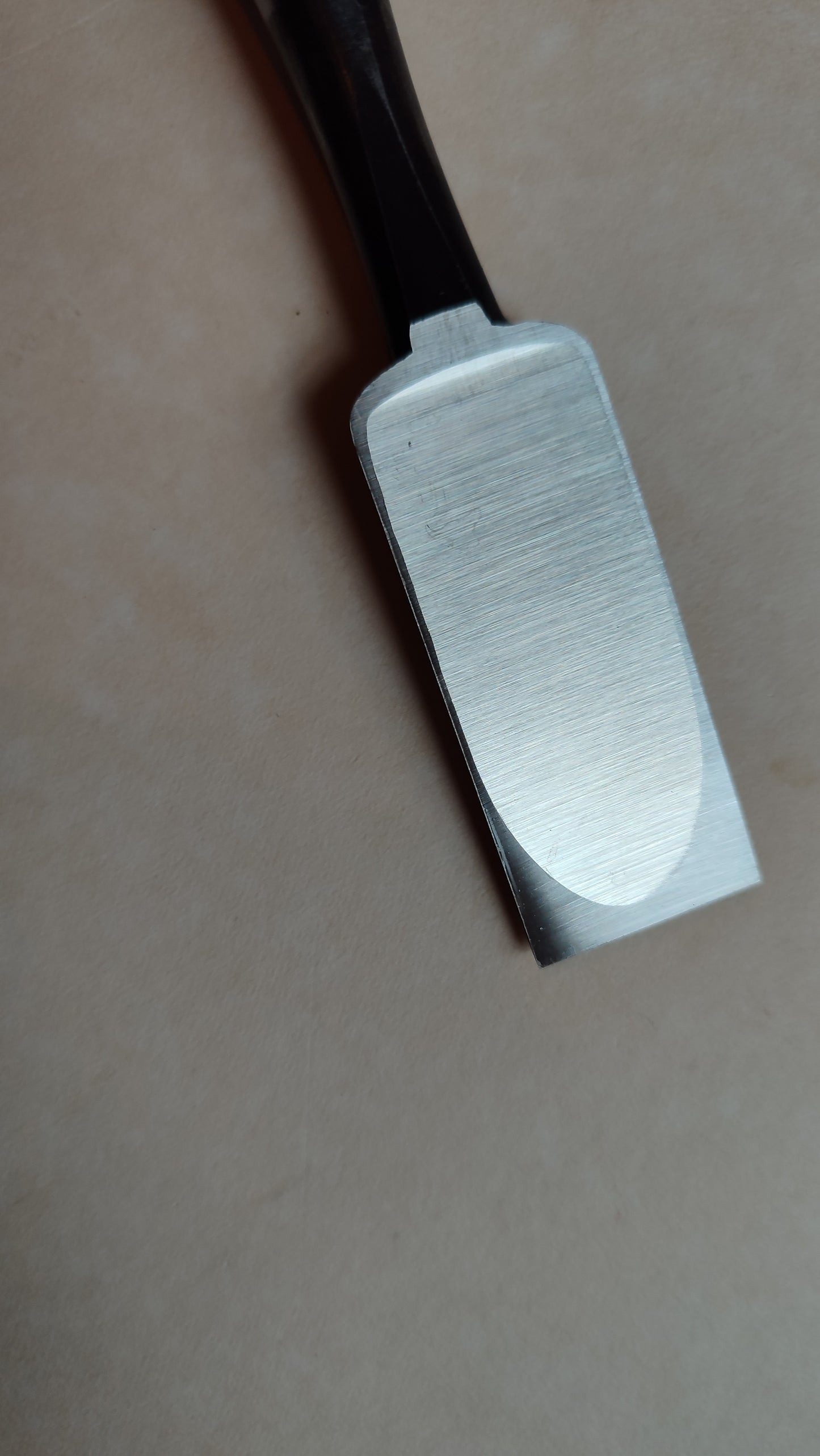 Ciseaux japonais premium "Oire Nomi" 24mm "Yasaku"
