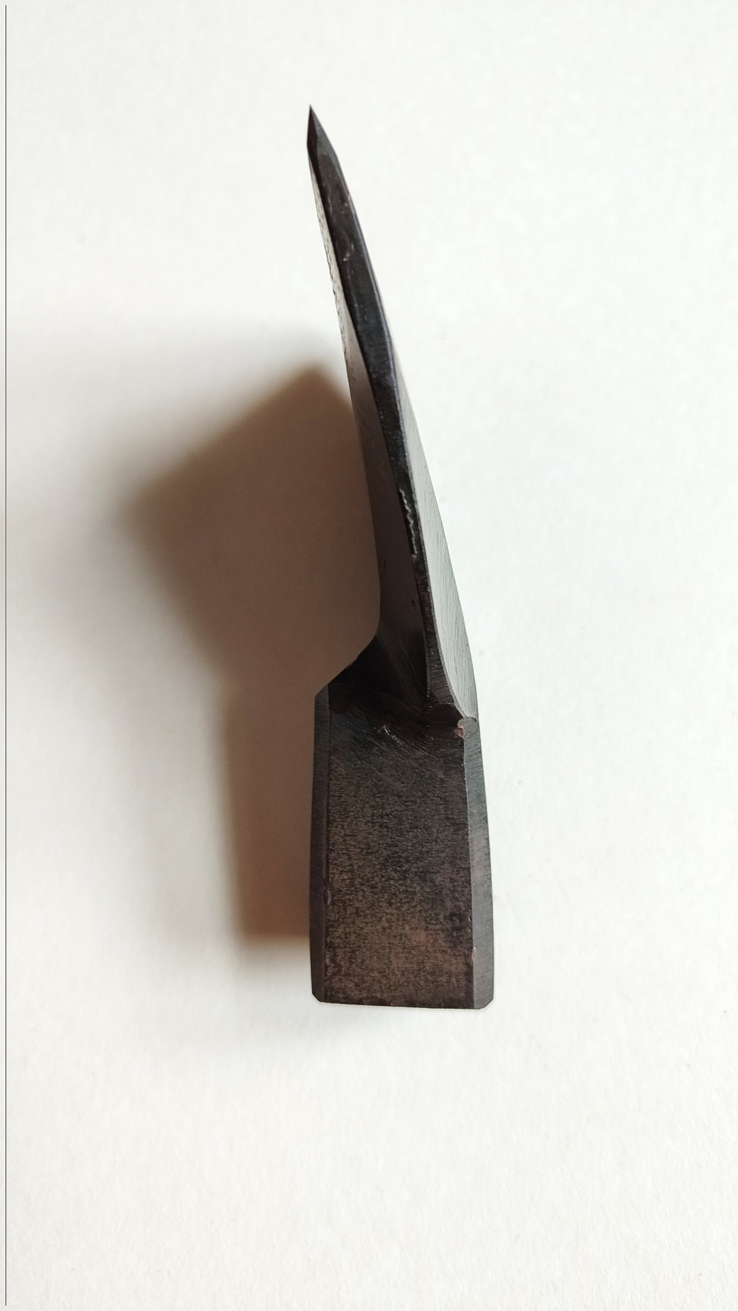 Rare Herminette Japonaise "Chouna" 100mm Kikusui
