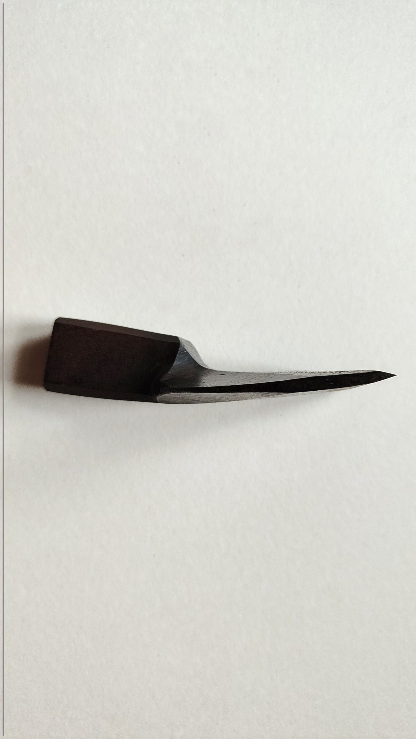 Rare Herminette Japonaise "Chouna" 100mm Kikusui