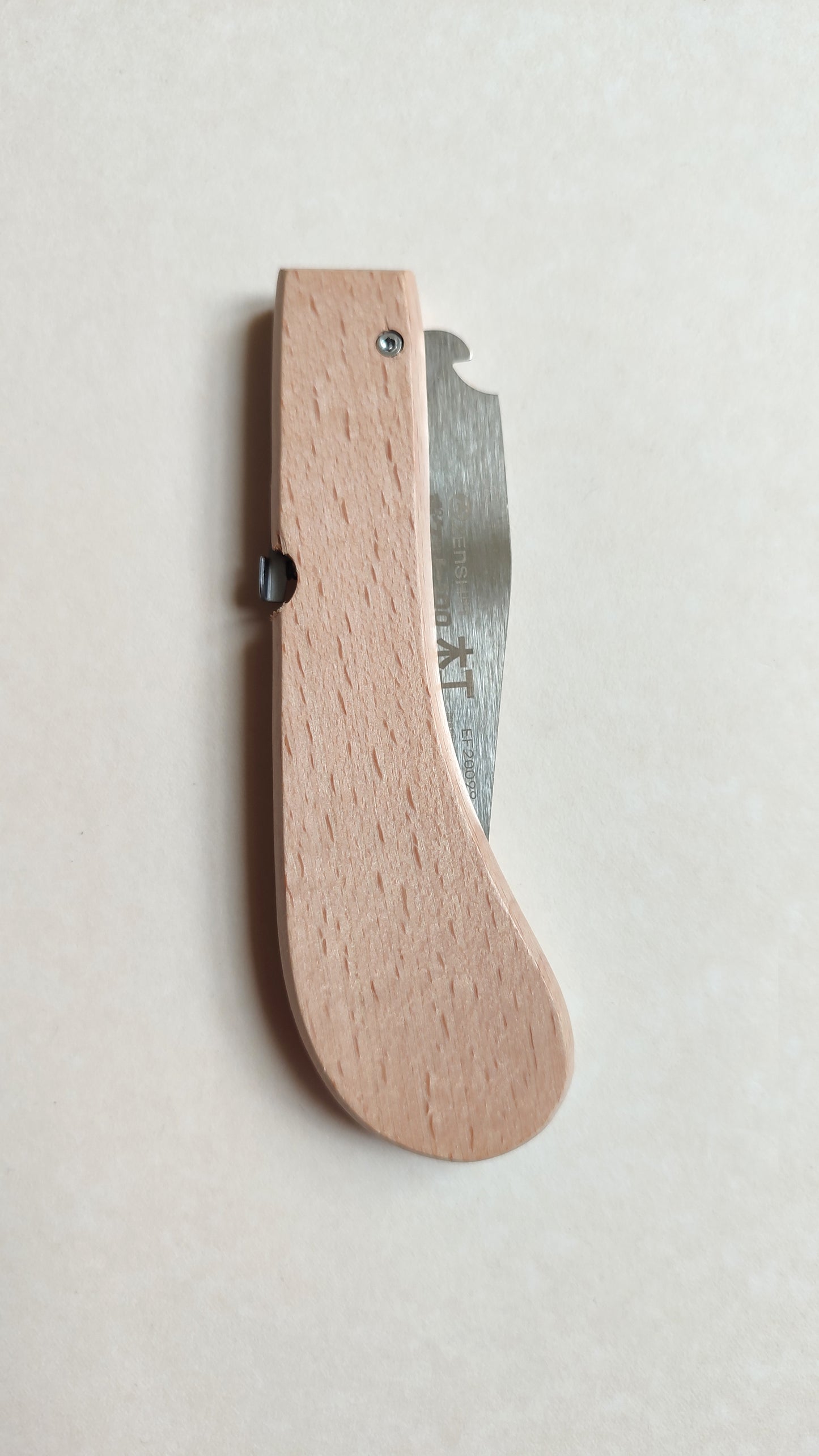 Micro scie japonaise pliable "Zenshin" 100mm