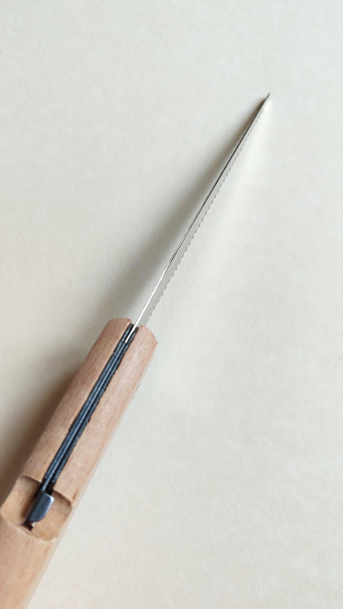 Micro scie japonaise pliable "Zenshin" 100mm