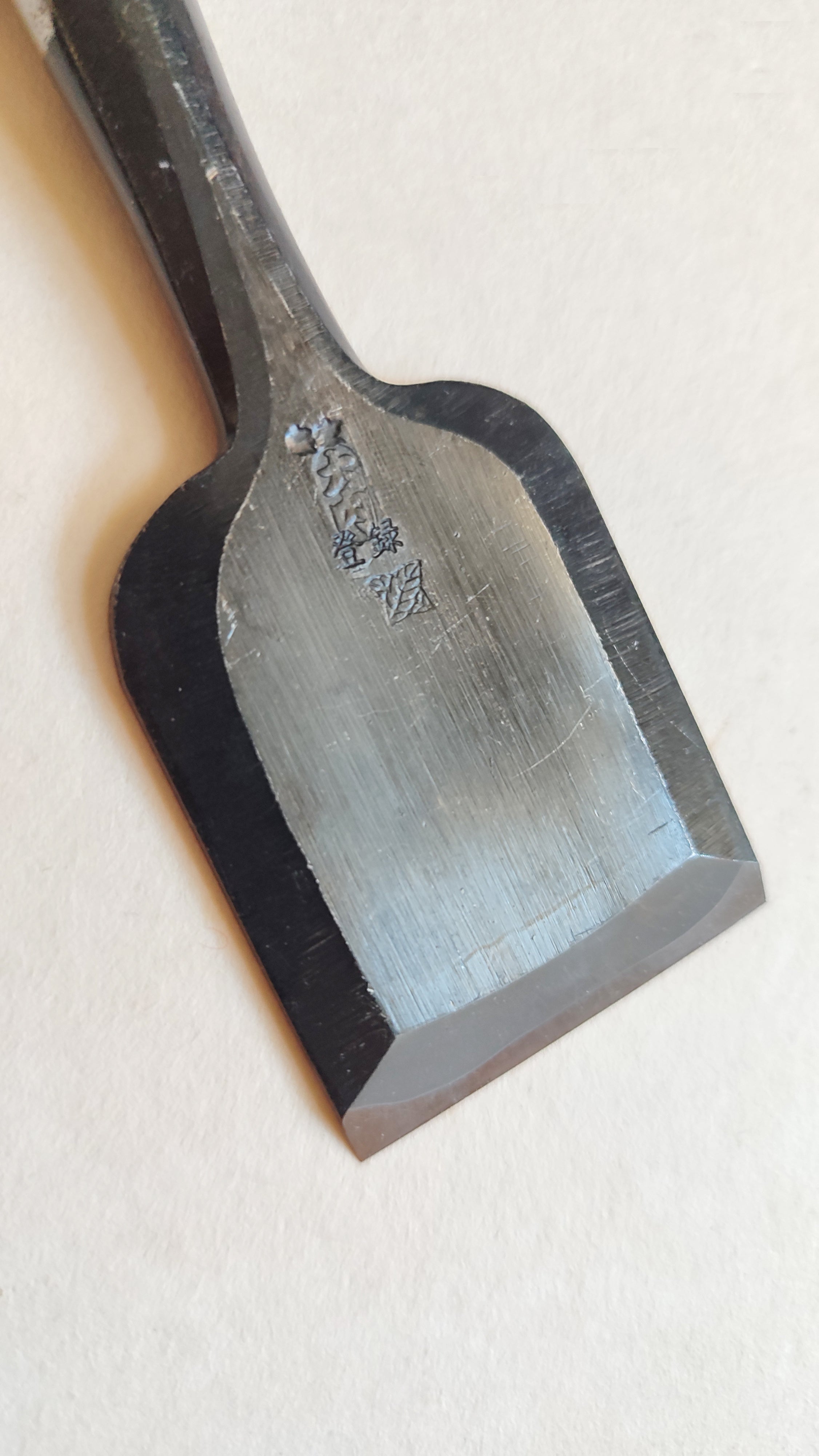 Premium Japanese Scissors "Oire Nomi" 30mm "Ouchi San"