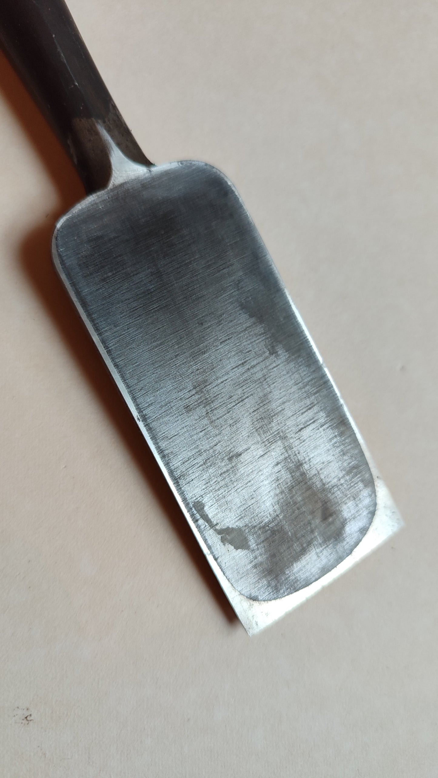 Premium Japanese Scissors "Oire Nomi" 24mm "Ouchi San"