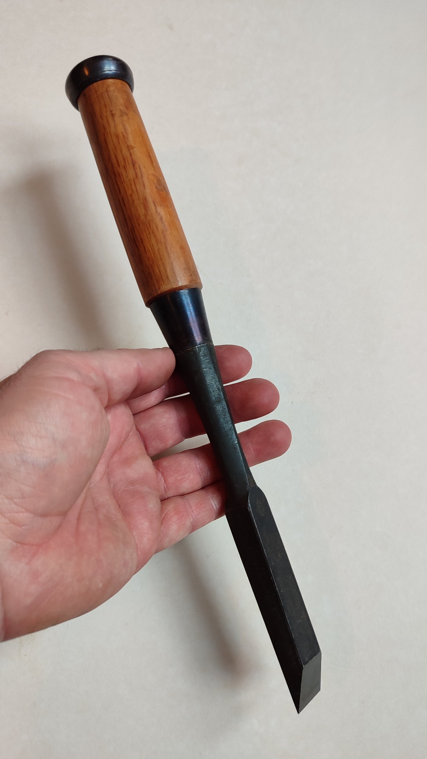 Cincel Japonés Premium "Oire Nomi" 24mm "Ouchi San"