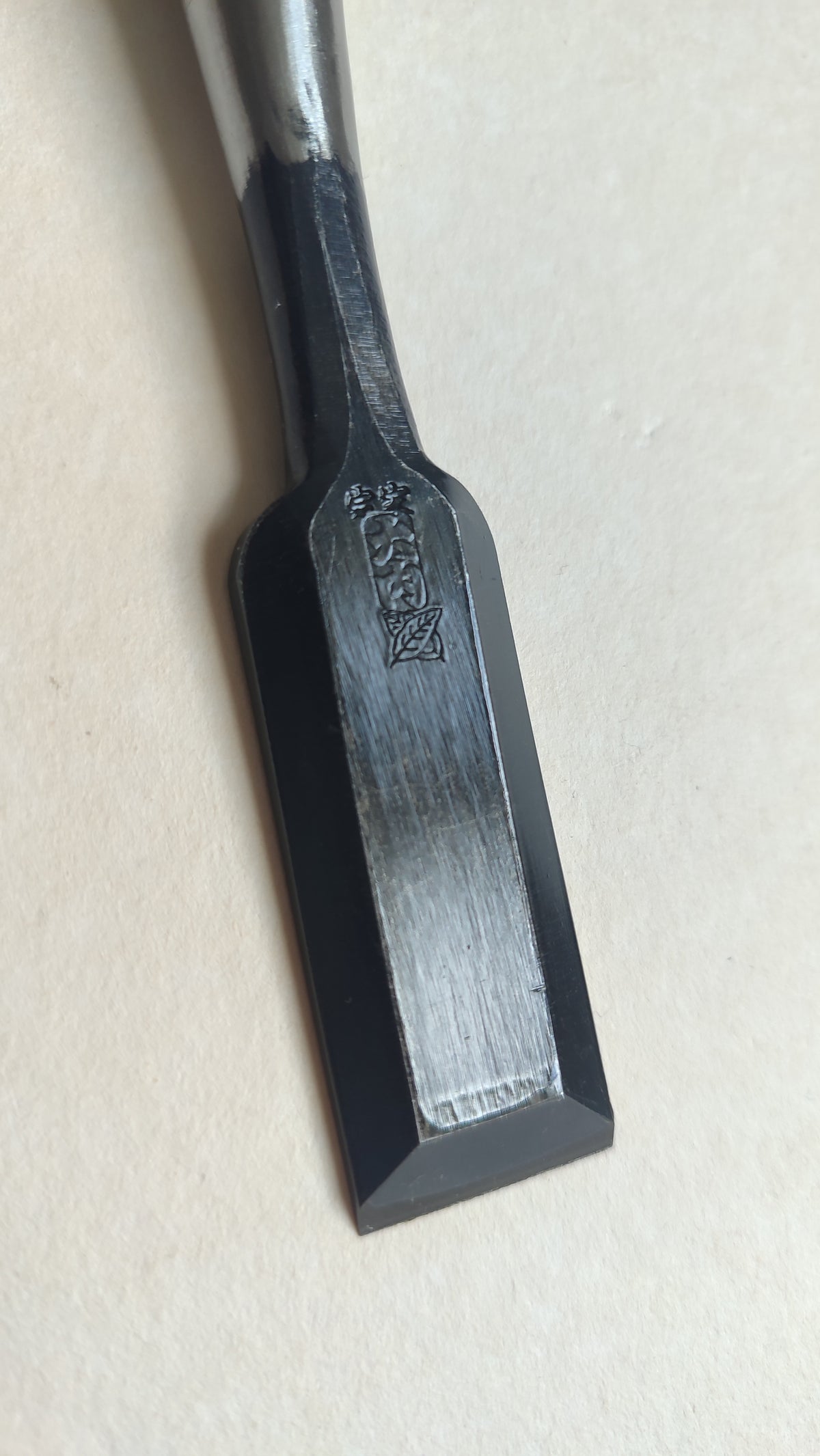Premium Japanese Scissors "Oire Nomi" 24mm "Ouchi San"