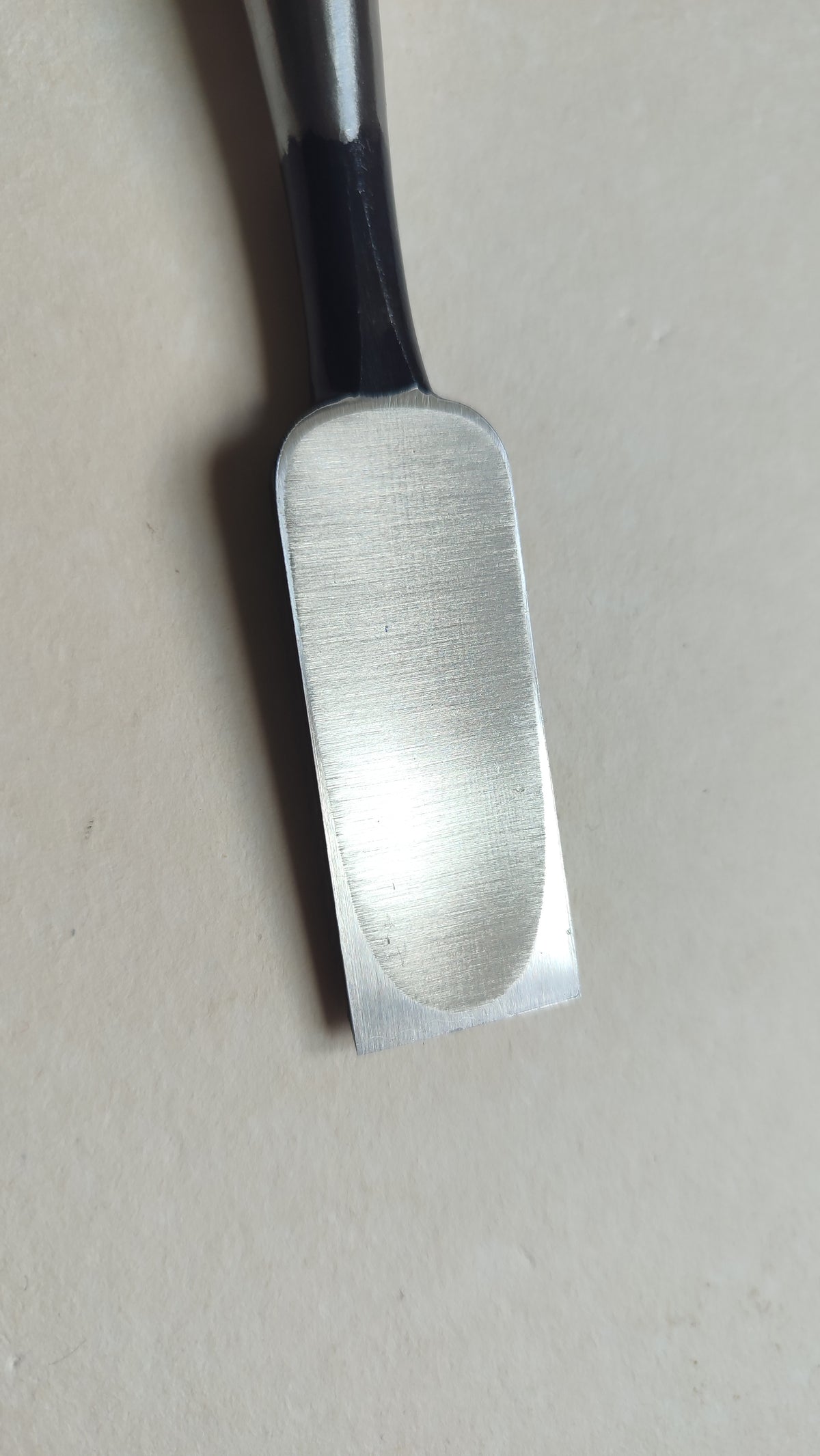 Premium Japanese Scissors "Oire Nomi" 24mm "Ouchi San"