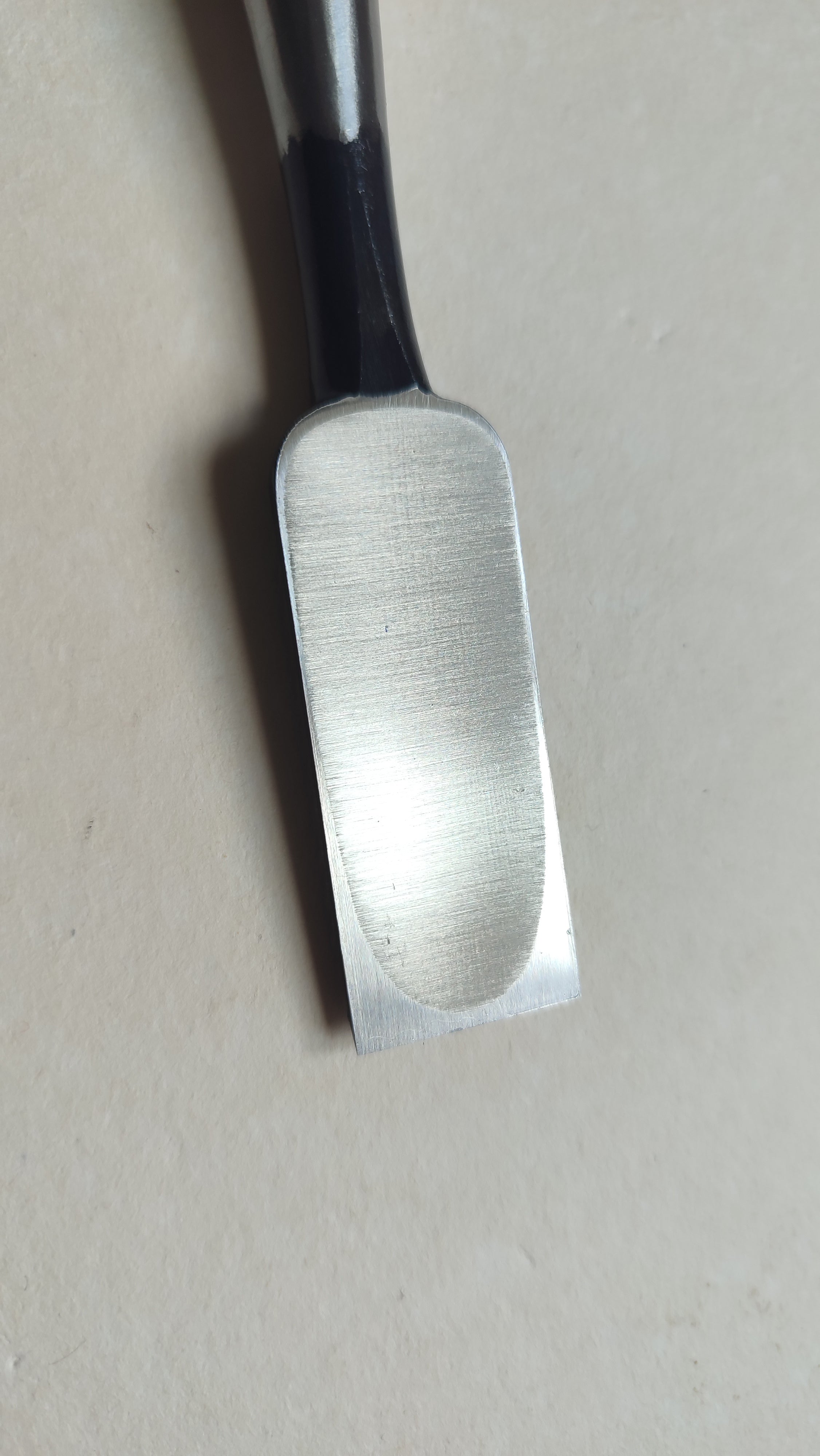 Premium Japanese Scissors "Oire Nomi" 24mm "Ouchi San"