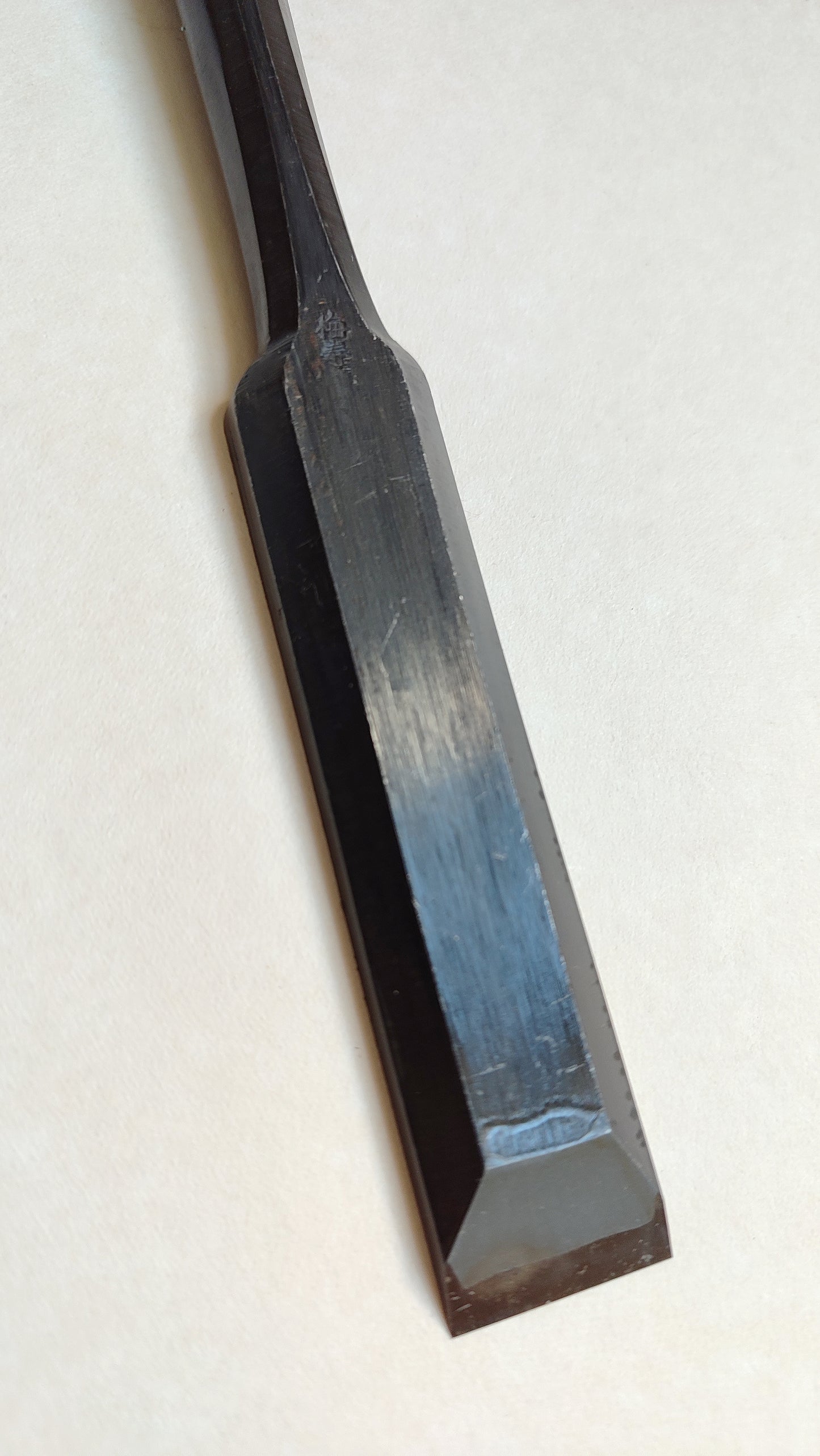 Ciseau japonais extra long "Anaya Nomi" 24mm "Umeju"