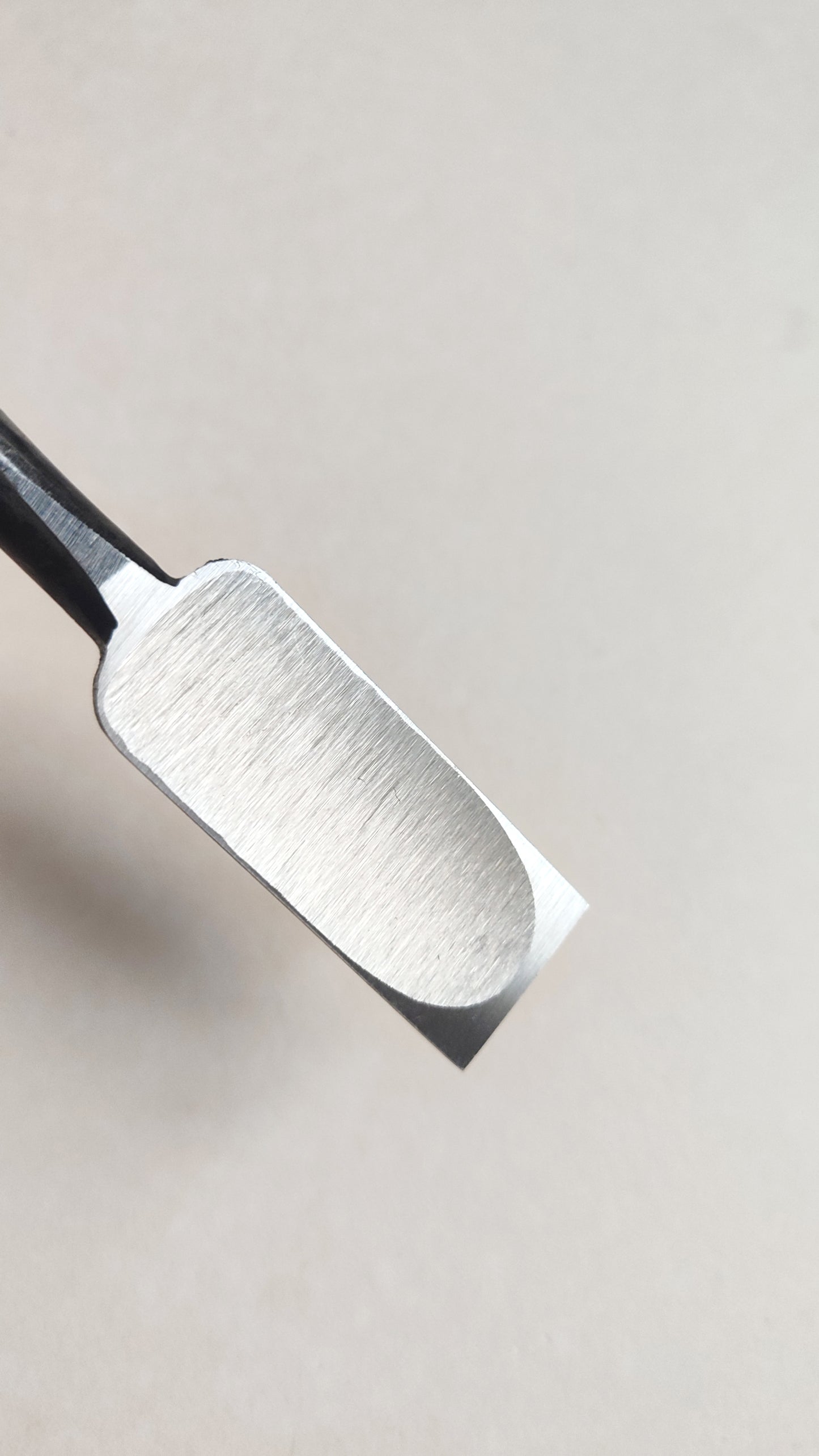 Ciseaux japonais premium "Shinogi Nomi" 24mm "Yasaku"