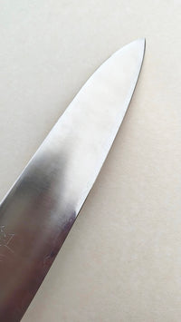Couteau de cuisine japonais "Gyuto" 210mm Blue Steel "Hiro Masui"