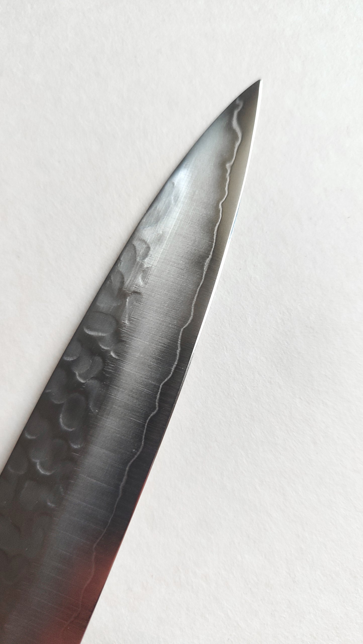 Couteau de cuisine japonais "Yanagi-ba" 200mm "Tosa Uchi"