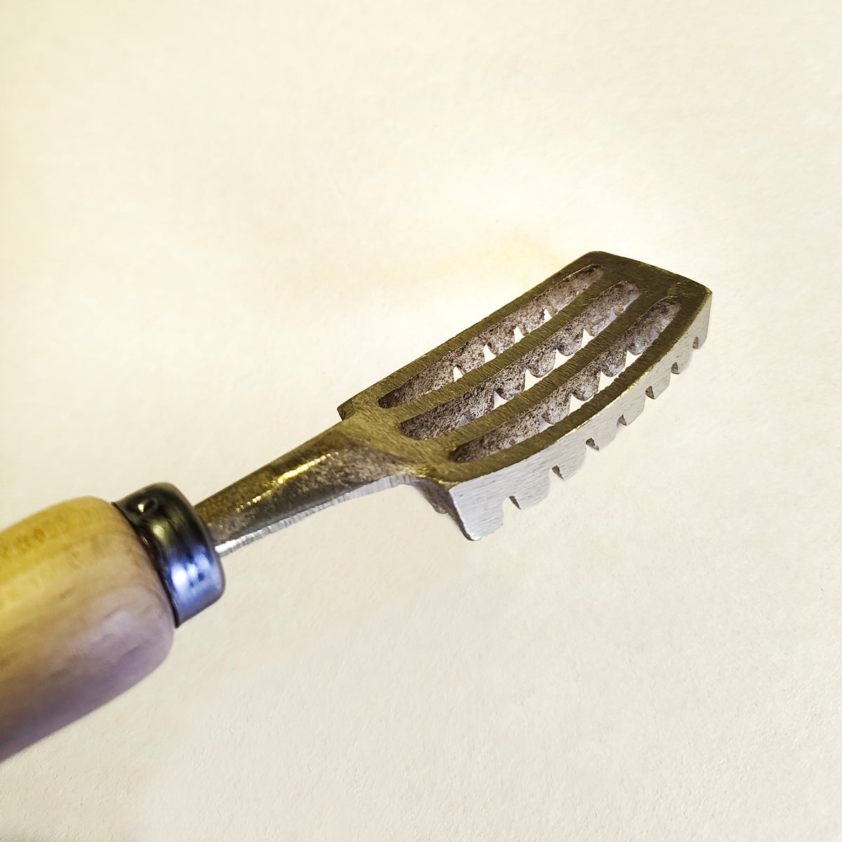Écailleur japonais 20cm
