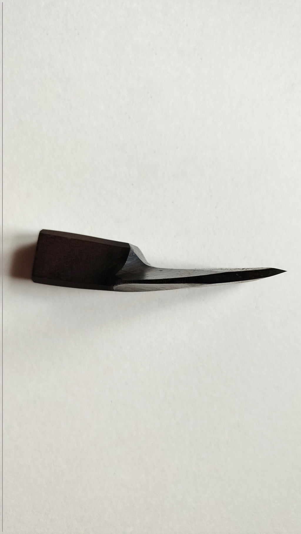 Rare Herminette Japonaise "Chouna" 100mm Kikusui