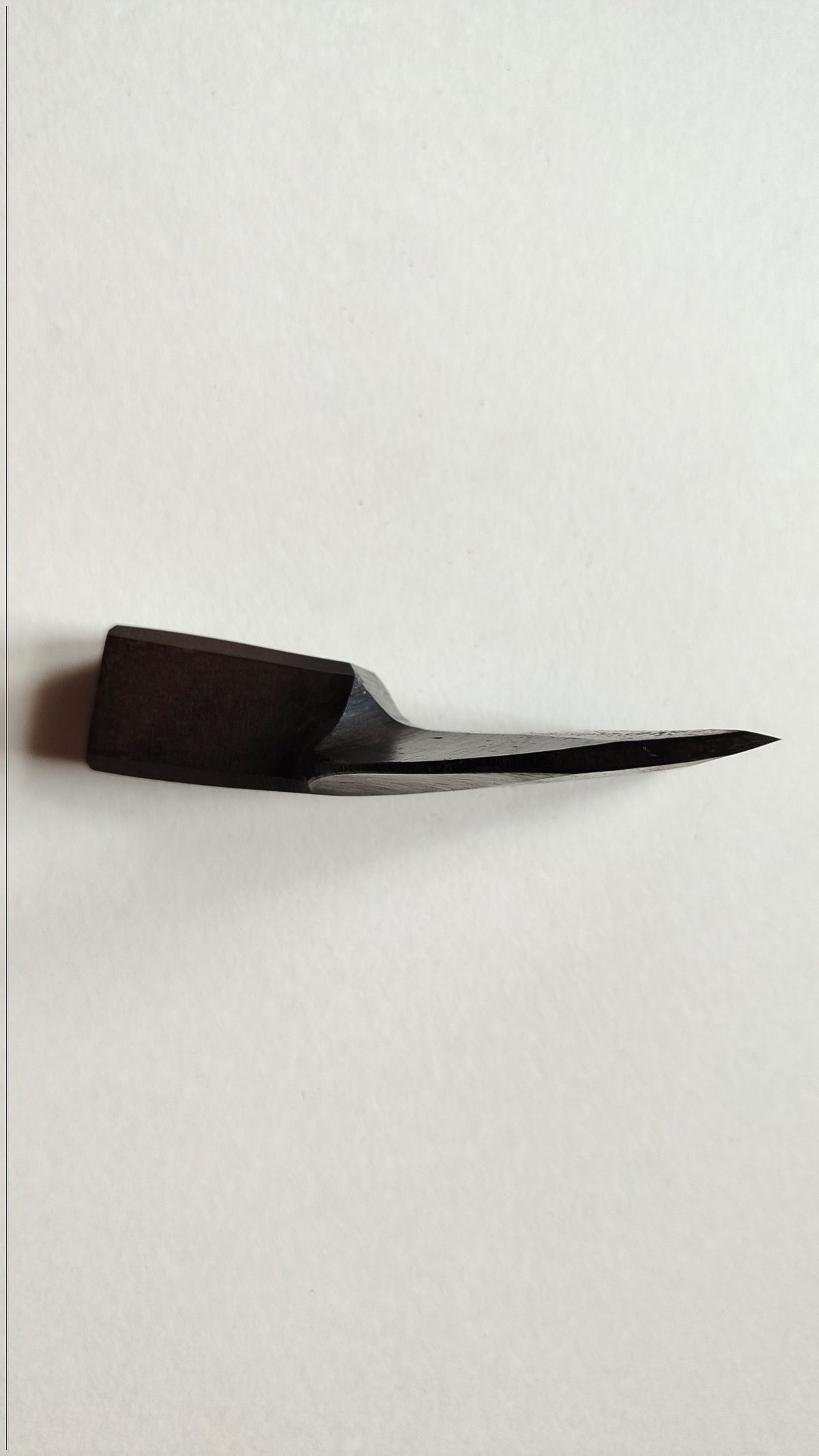 Rare Herminette Japonaise "Chouna" 100mm Kikusui