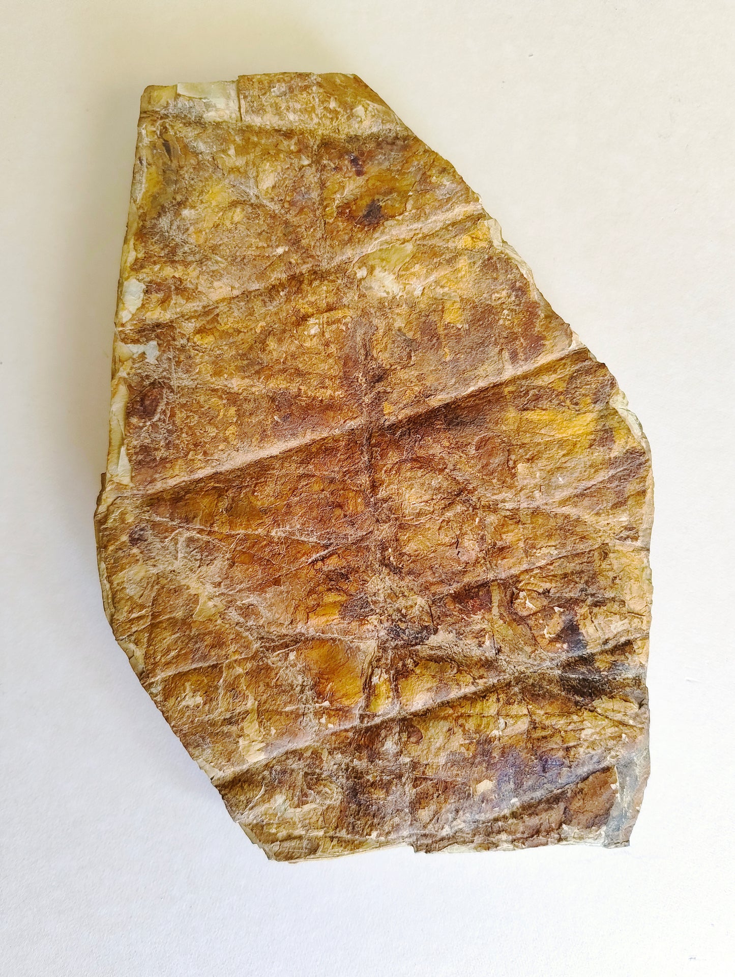 Petite pierre d'affûtage naturelle japonaise JNAT "Toishi"  180 X 125 X 20mm "Nakayama" 900gr
