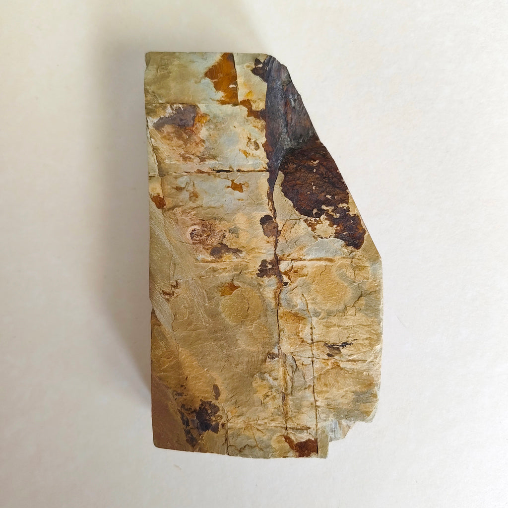 Petite pierre d'affûtage naturelle japonaise JNAT "Koppa"  130 X 70 X 30mm "Nakayama" 645gr