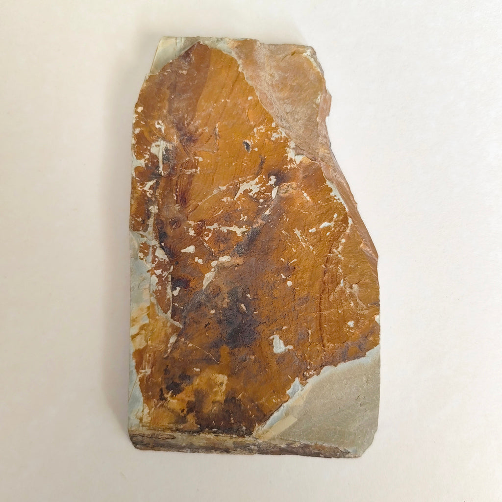 Petite pierre d'affûtage naturelle japonaise JNAT "Koppa"  162 X 95 X 15mm "Nakayama" 435gr