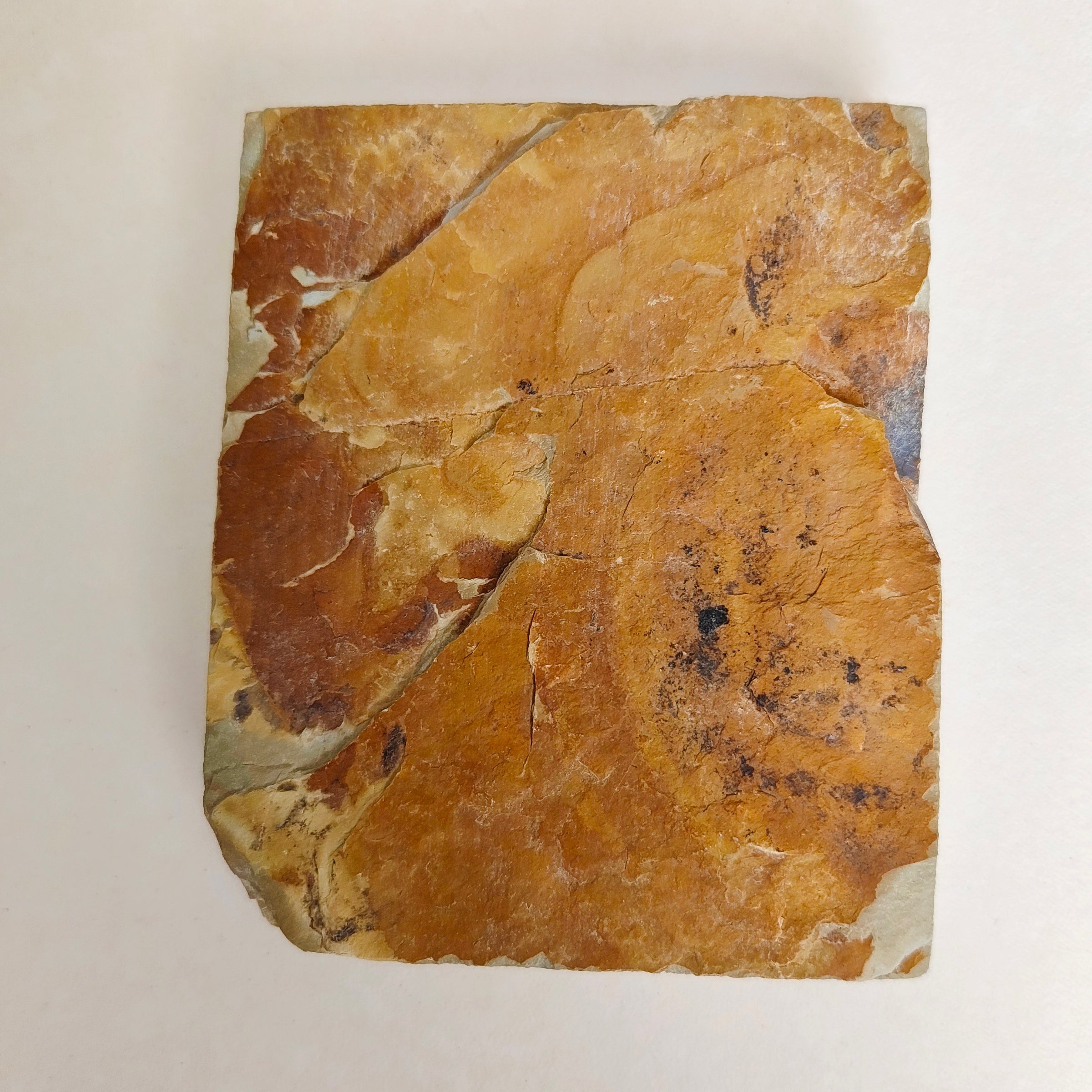 Petite pierre d'affûtage naturelle japonaise JNAT "Koppa"  110 X 91 X 17,5mm "Nakayama"440gr