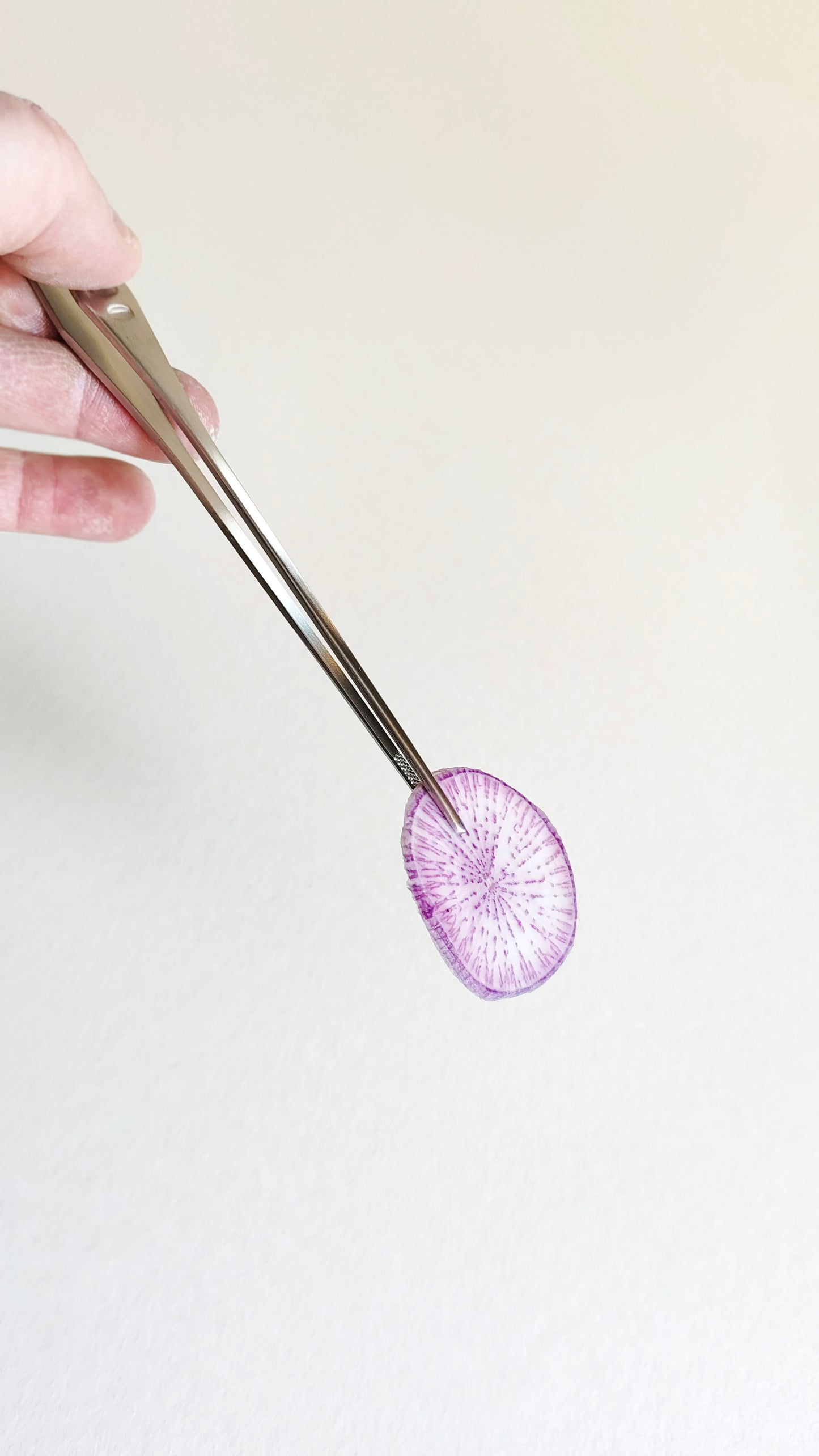 Pince de service pour la cuisine "Tweezers" 200mm INOX