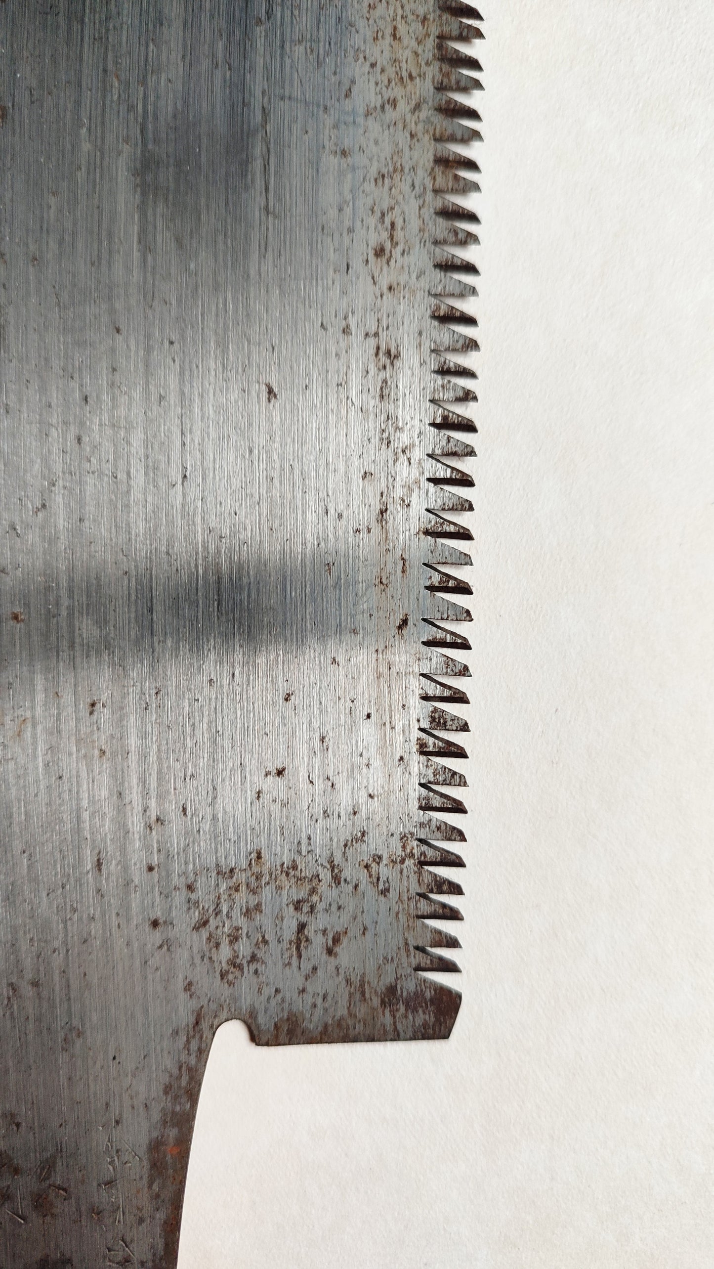 Grande scie japonaise NOS forgée "Ryoba" 300mm classe:C