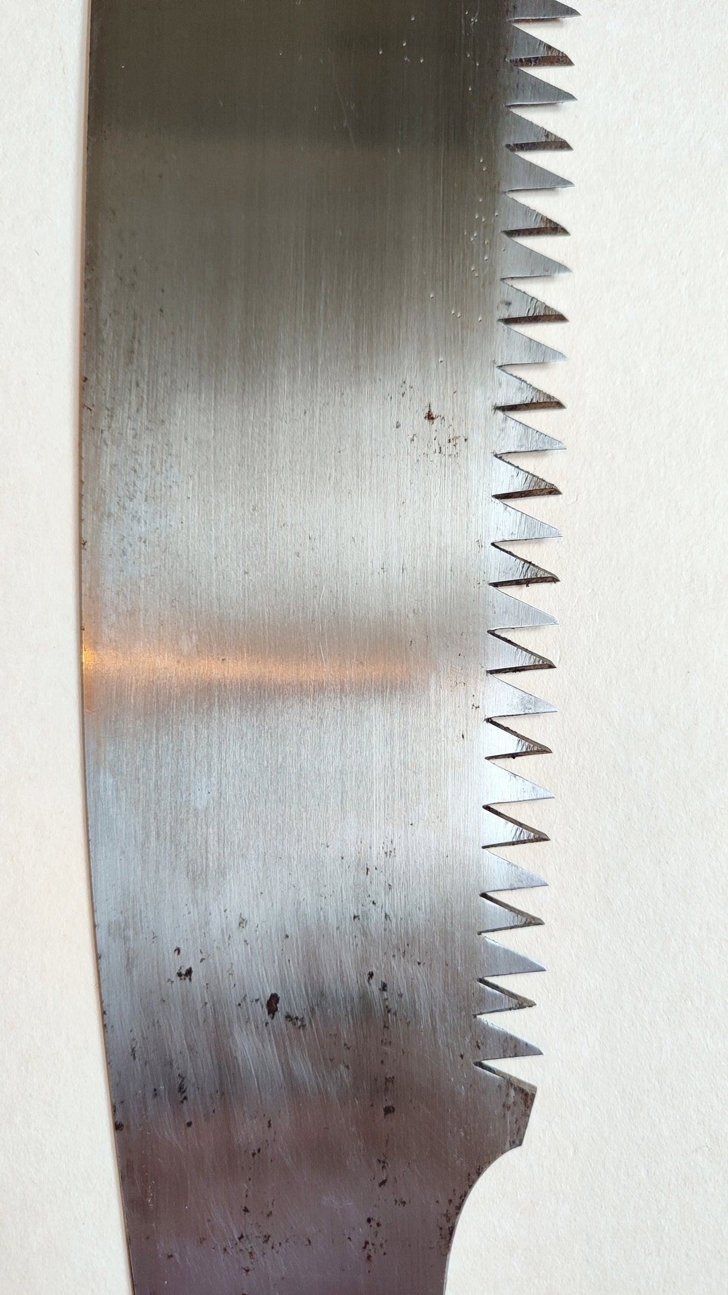 Très grande scie japonaise forgée "Temagori-nokogiri" 530mm "Misaka Hyojo"