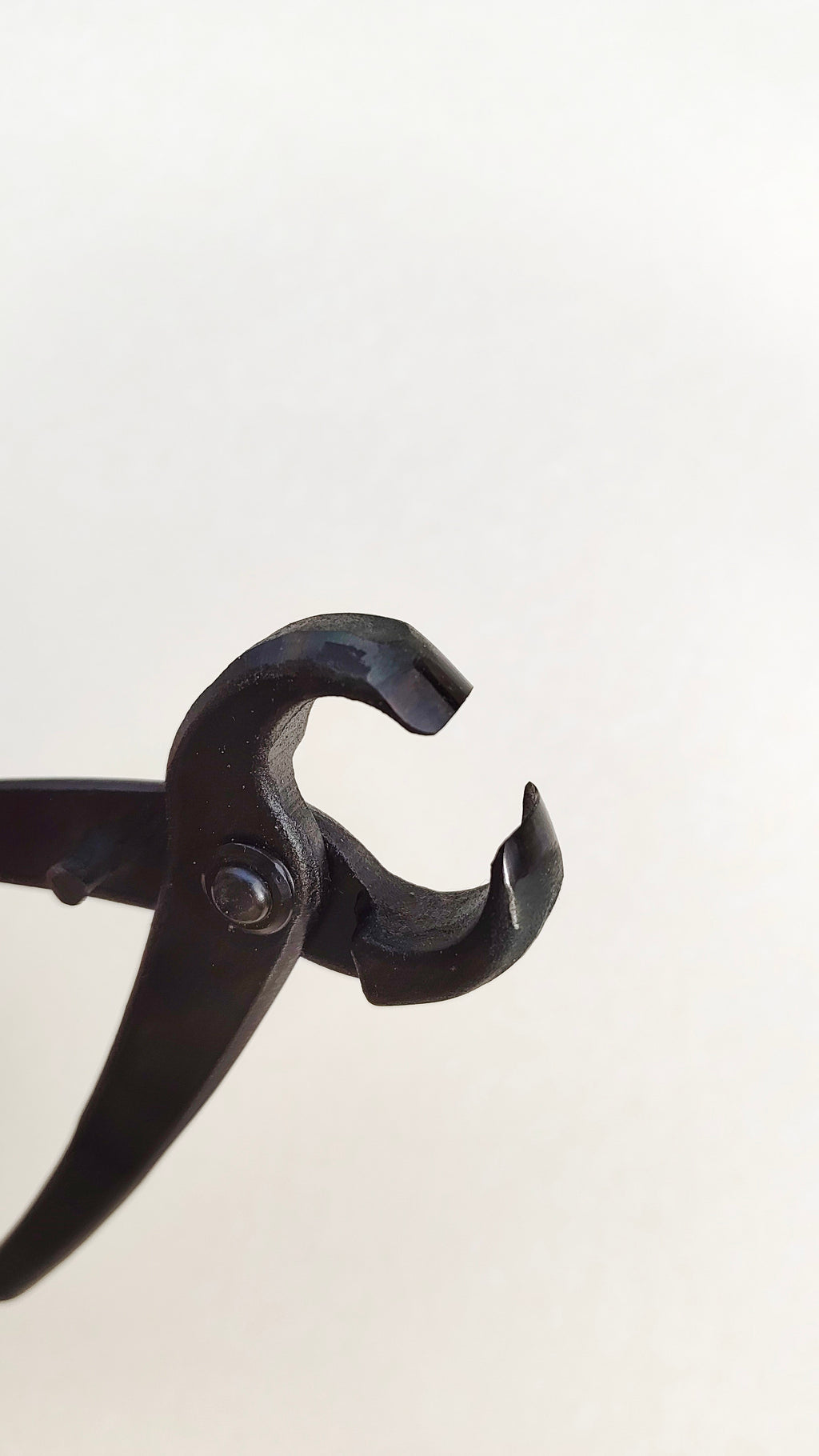Tenaille concave pour l'art du Bonsaï 200mm "Furusawa"