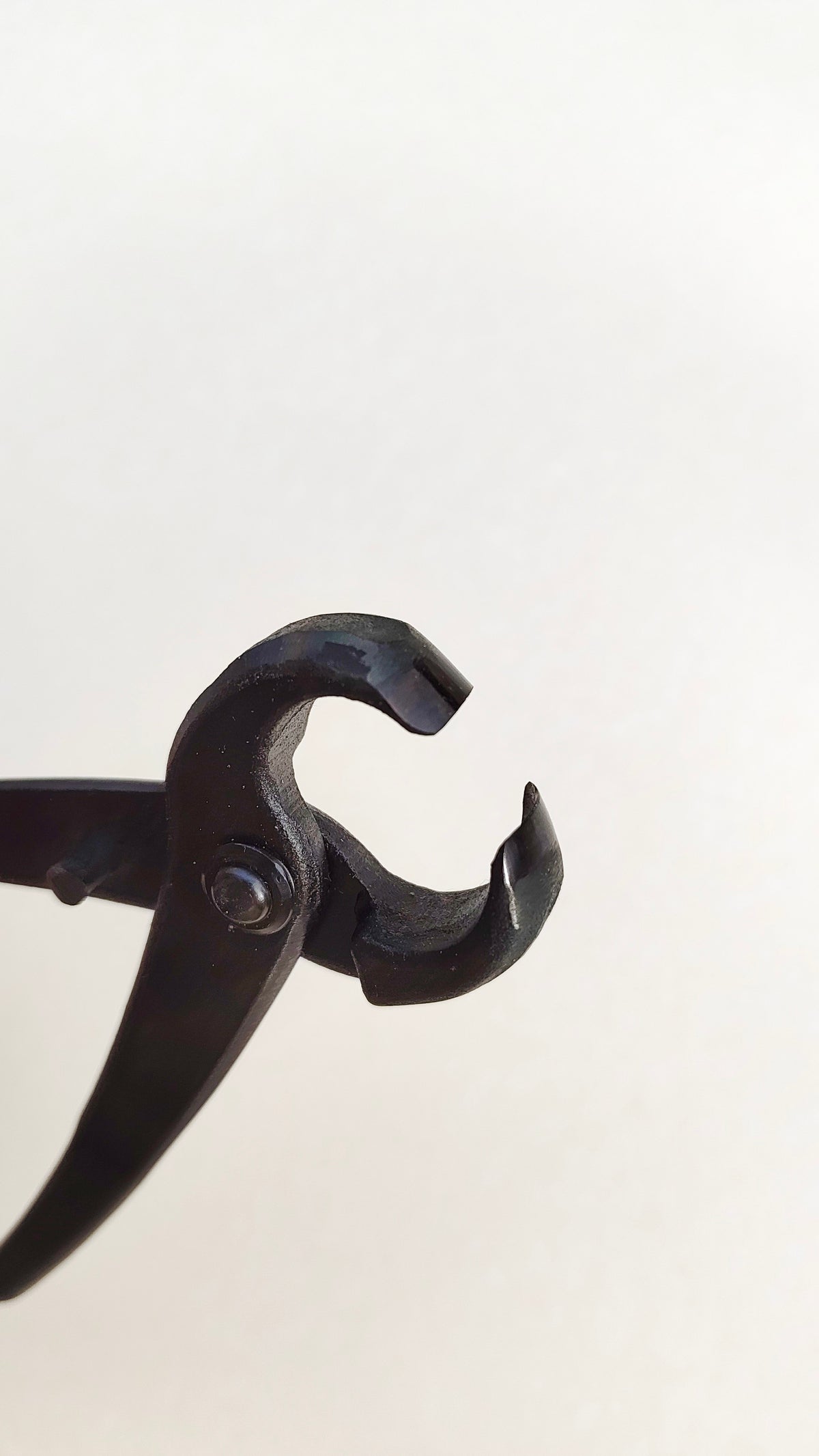Tenaille concave pour l'art du Bonsaï 200mm "Furusawa"