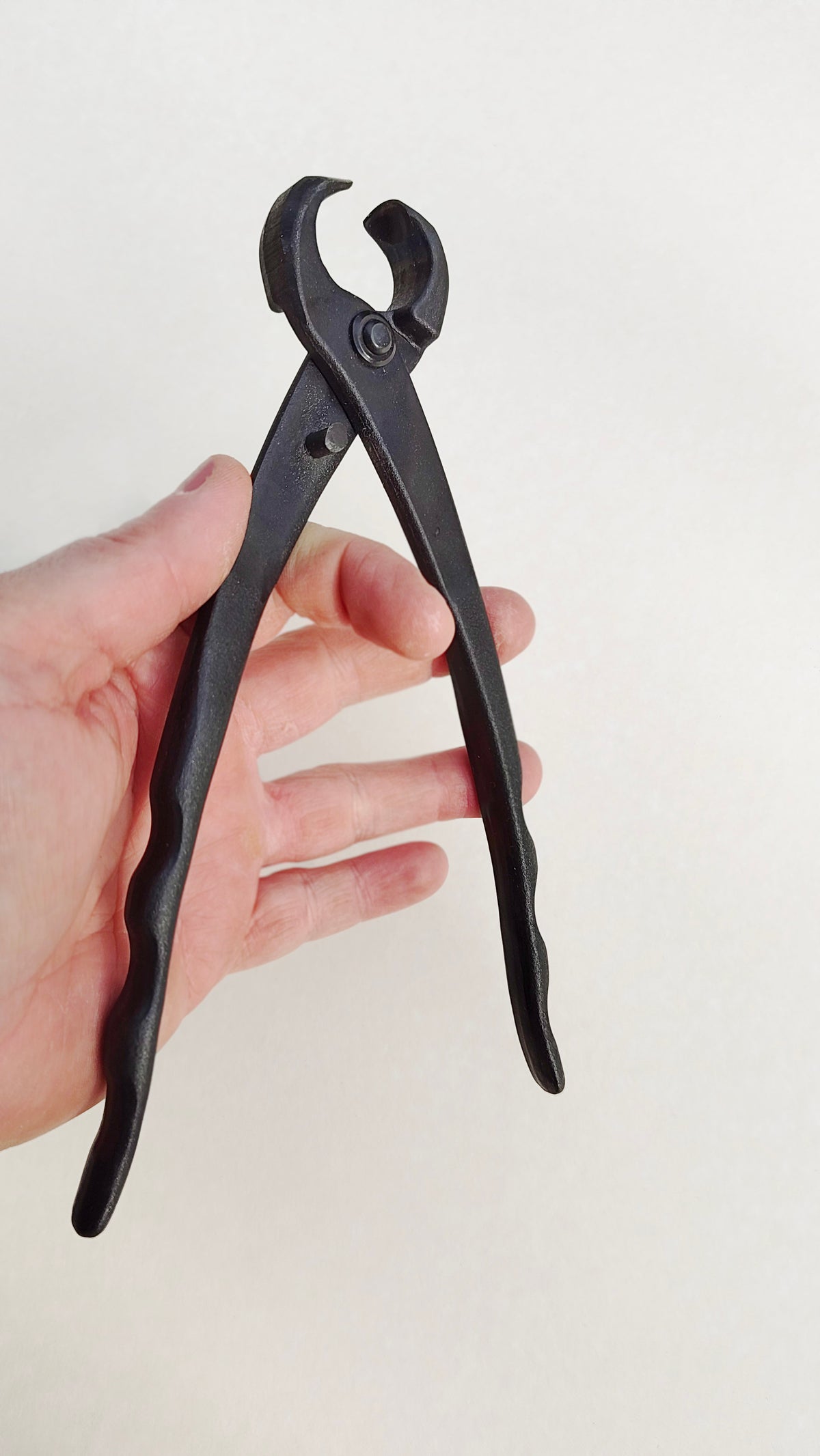 Tenaille concave pour l'art du Bonsaï 200mm "Furusawa"